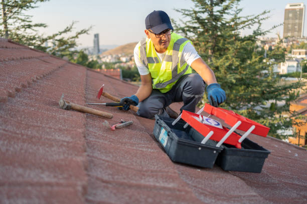 Best Carpet Removal and Disposal  in Sconsin Dells, WI